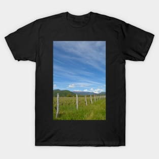 Spring Landscape Near Cividale del Friuli T-Shirt